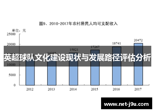 英超球队文化建设现状与发展路径评估分析