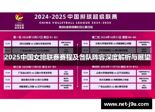 2025中国女排联赛赛程及各队阵容深度解析与展望