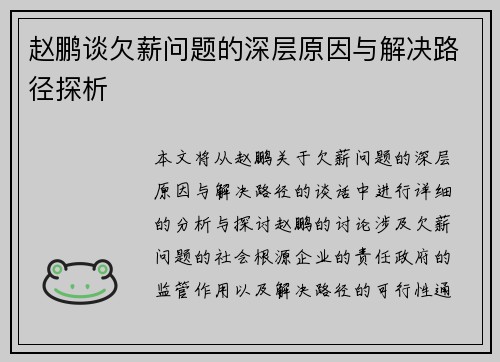 赵鹏谈欠薪问题的深层原因与解决路径探析