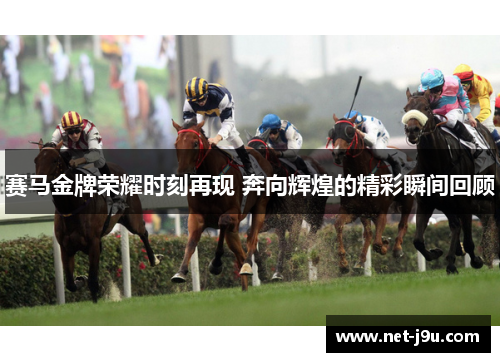 赛马金牌荣耀时刻再现 奔向辉煌的精彩瞬间回顾