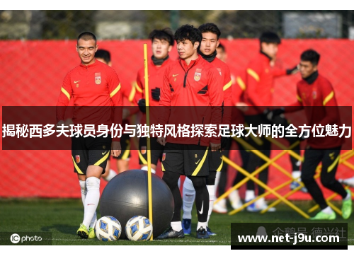 揭秘西多夫球员身份与独特风格探索足球大师的全方位魅力